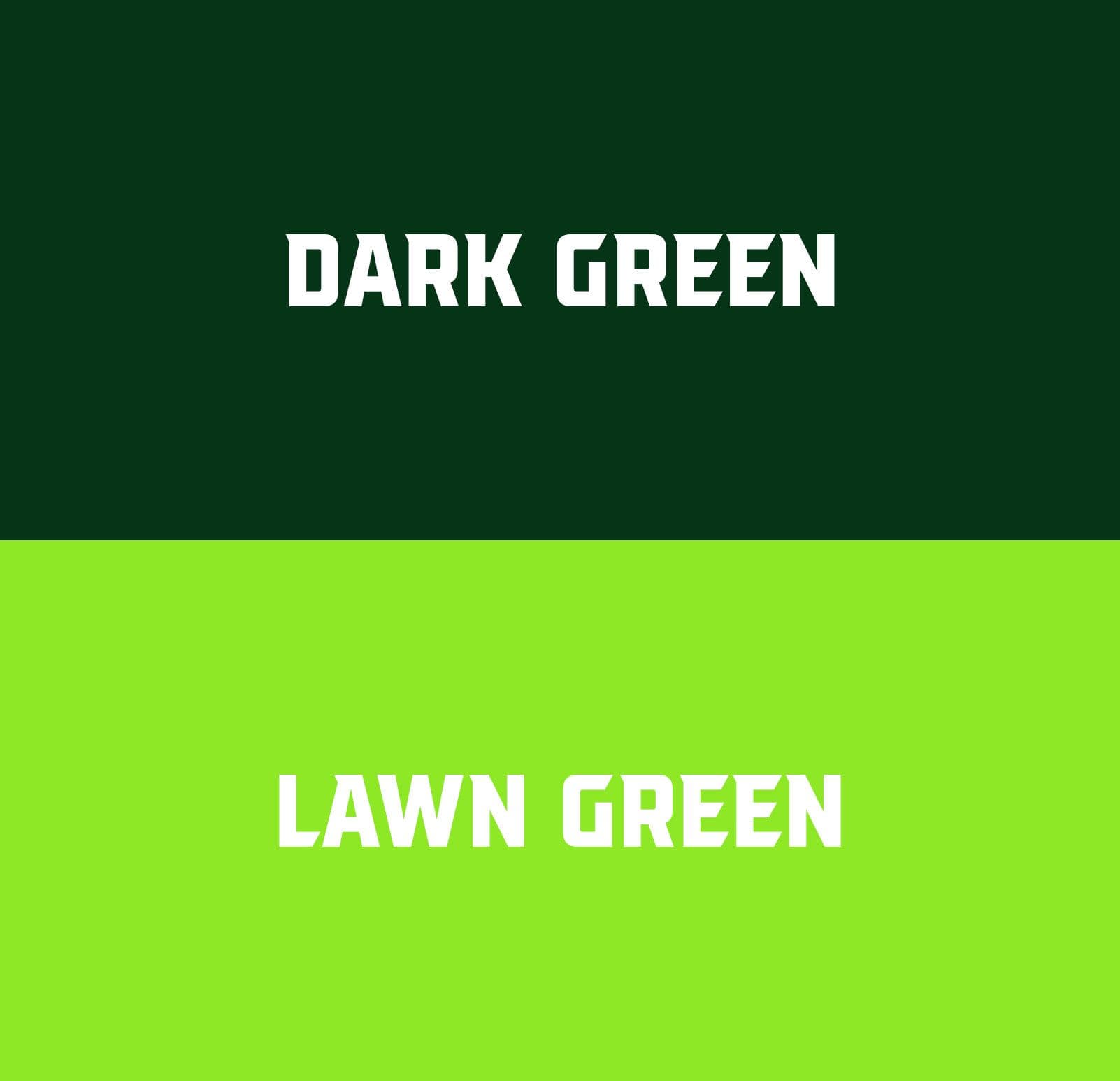 Jungle Gym Academy - Identité Visuelle