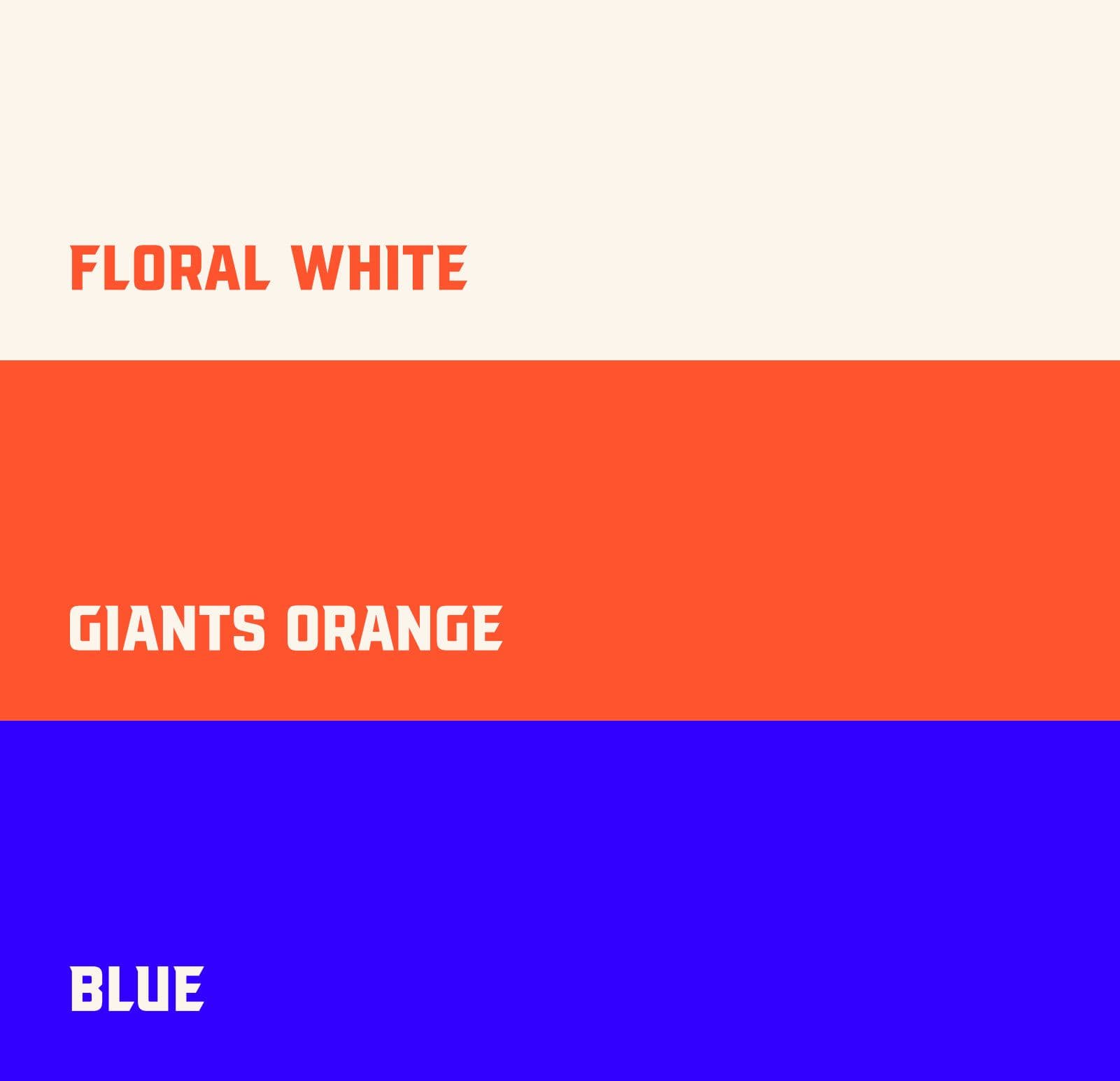 Académie Younus - Identité Visuelle